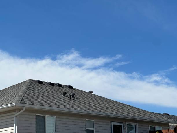 Best Solar Panel Roofing Installation  in Lake Park, GA